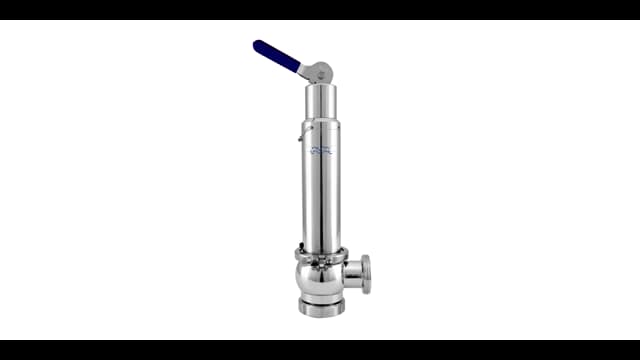 Safety valve
